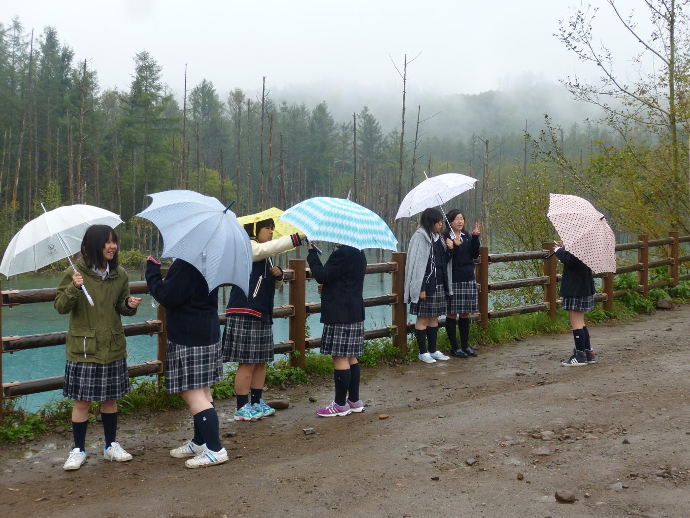 美瑛高キャリア探求巡検