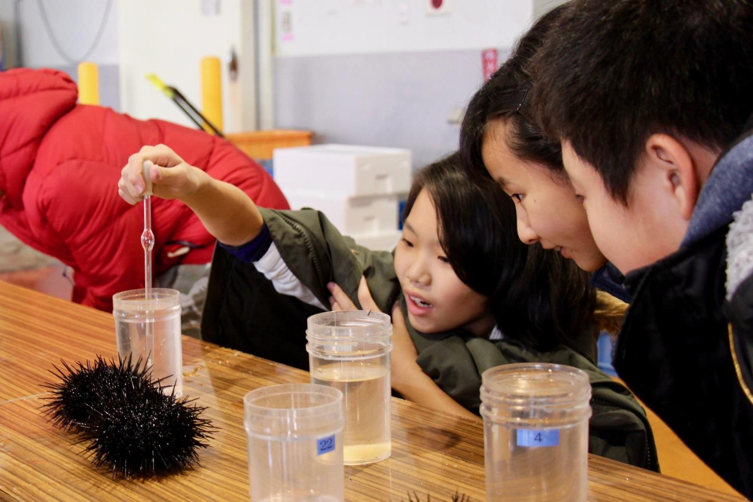 えさん小体験活動