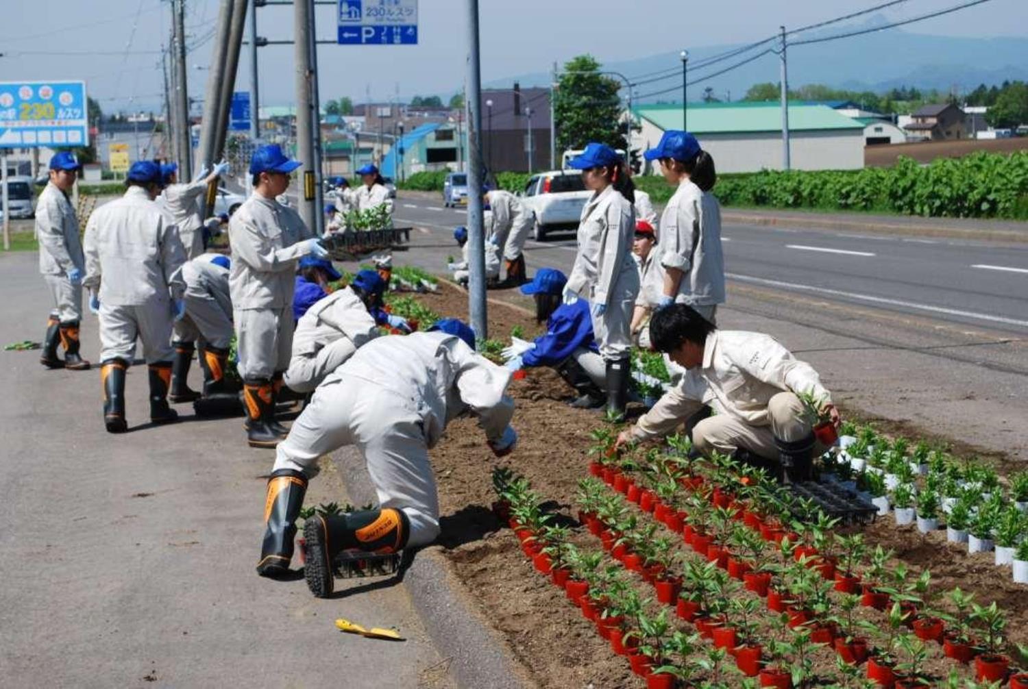 留寿都高「花いっぱい運動」