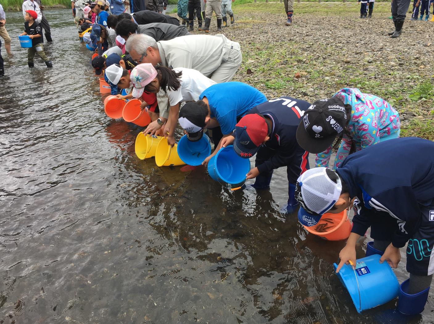弟子屈小稚魚放流