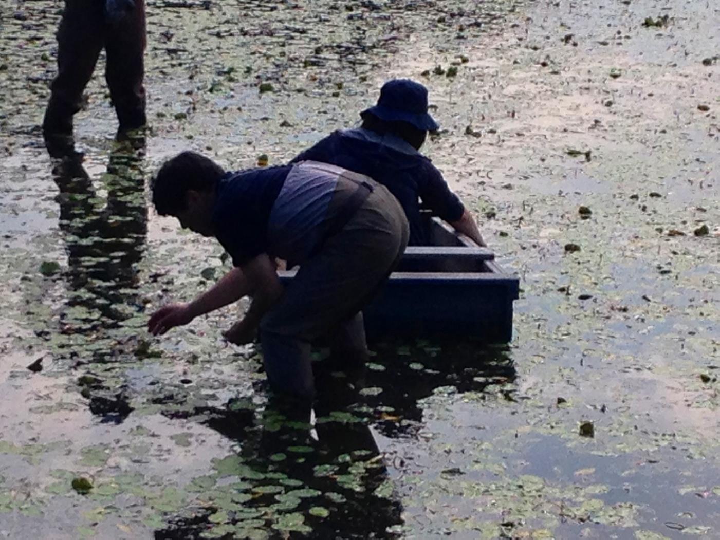 丸瀬布小じゅんさい