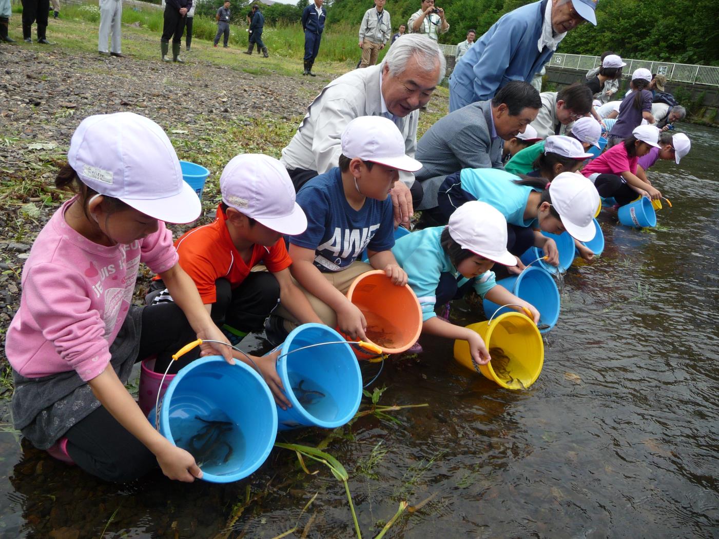 弟子屈小ヤマメ稚魚放流