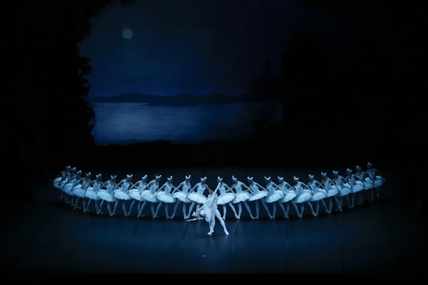 青少年向けバレエ鑑賞事業