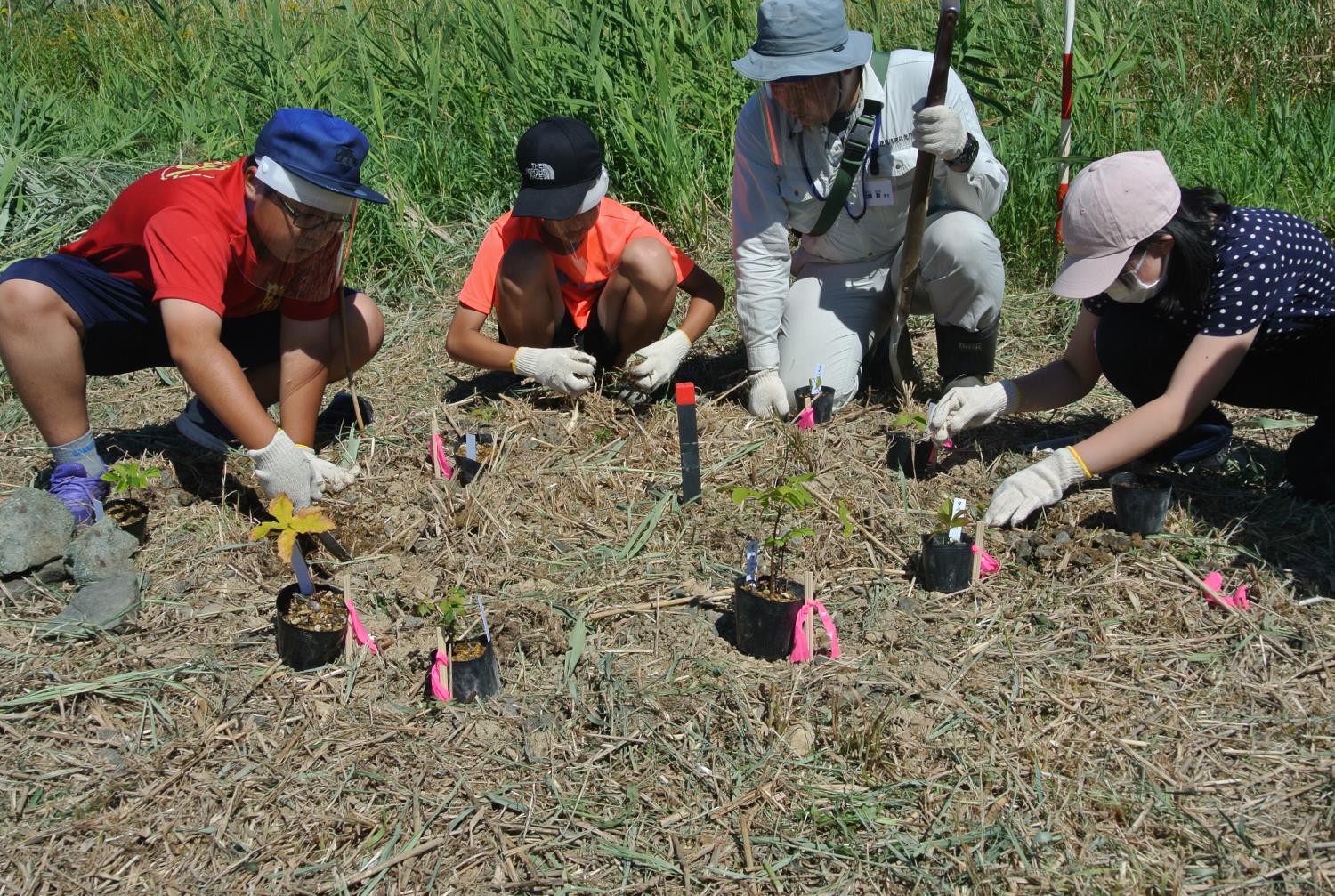 留萌開建Ｒ２緑丘小植樹会