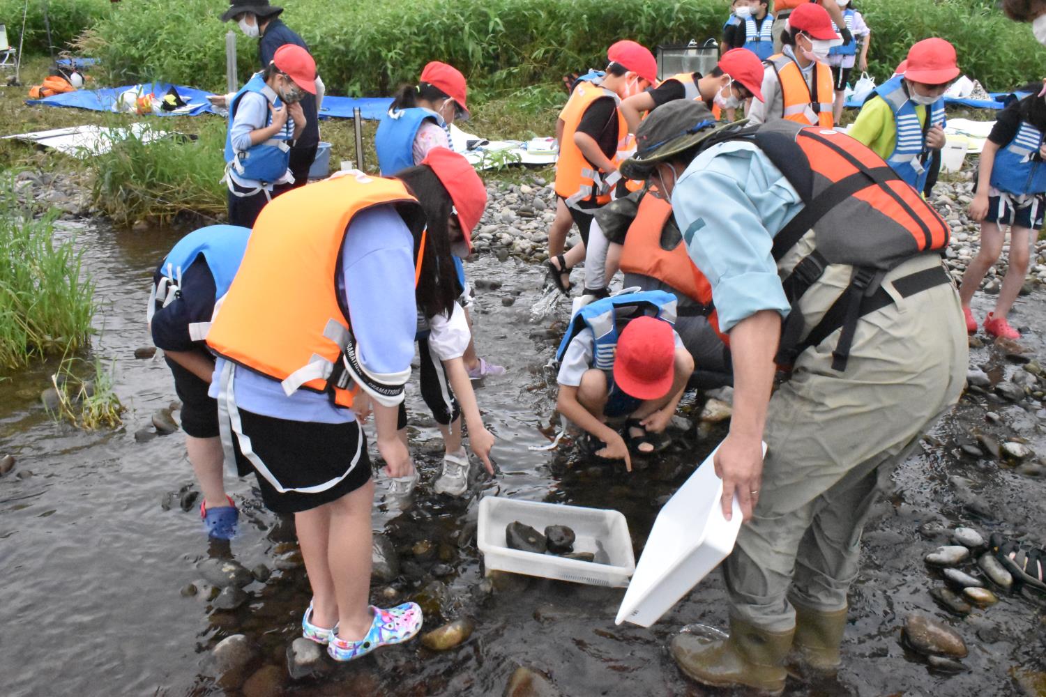 下音更小北開水工コンサルの環境学習会参加