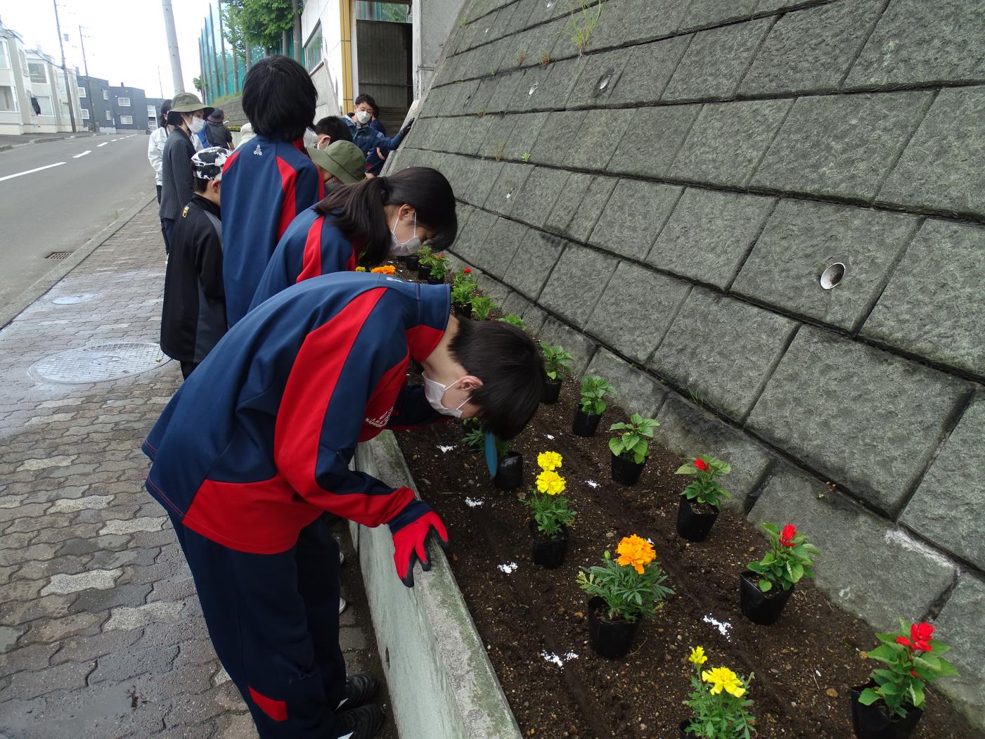清田中花壇整備