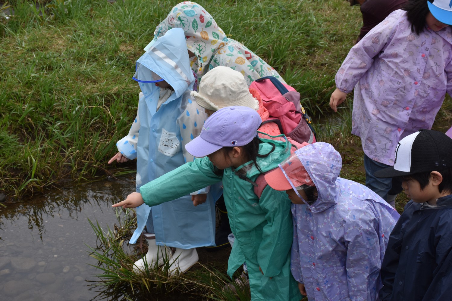 道技術コンヤマベ観察会